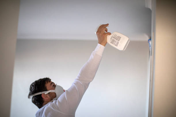Best Basement Mold Remediation in Flora, MS