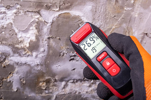 Best Post-Remediation Services in Flora, MS
