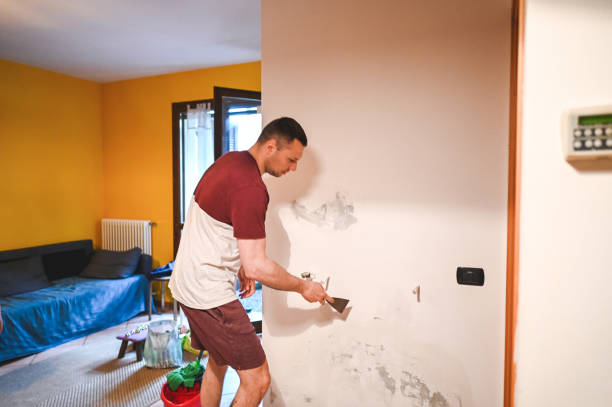 Best Black Mold Remediation in Flora, MS