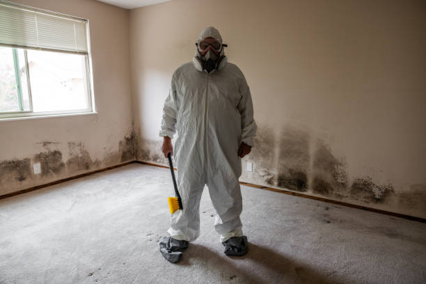 Flora, MS Mold Remediation Company